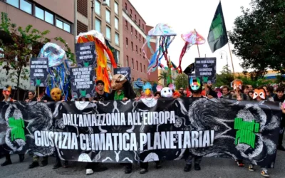 En el vientre de la COP, mi tiempo es el de la Selva