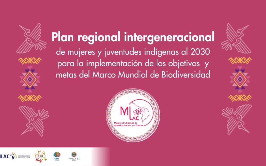 Plan Regional Intergeneracional de mujeres y juventudes indígenas al 2030 para la implementación de los objetivos y metas del Marco Mundial de Biodiversidad