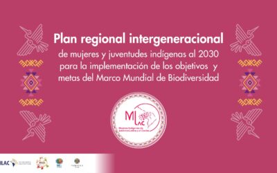 Plan Regional Intergeneracional de mujeres y juventudes indígenas al 2030 para la implementación de los objetivos y metas del Marco Mundial de Biodiversidad